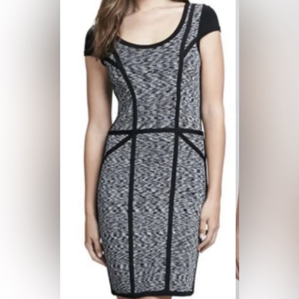 MILLY Space Dye Bodycon Dress in Small Petite
